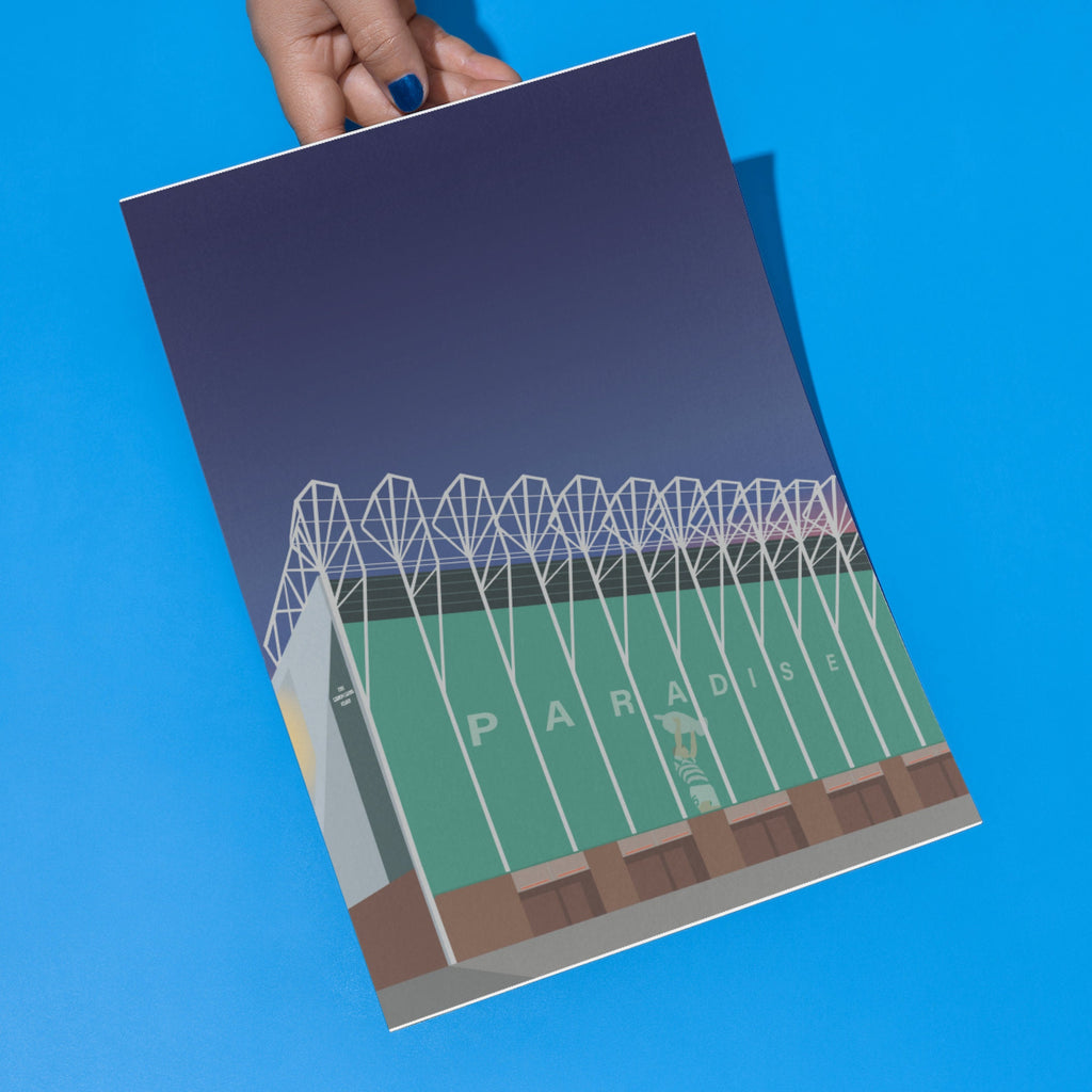 Celtic Park Print